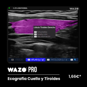 WAZO® PRO – Cuello & Tiroides
