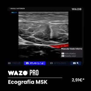 WAZO® PRO – MSK